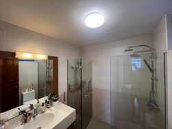 Emerald Park (D3), Condominium #456036441